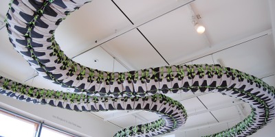 ai weiwei, snake ceiling, porcelain, china, art, artist, activist,